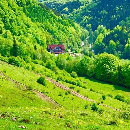 Cabana Izvoarele Doftanei Trăisteni Extérieur photo