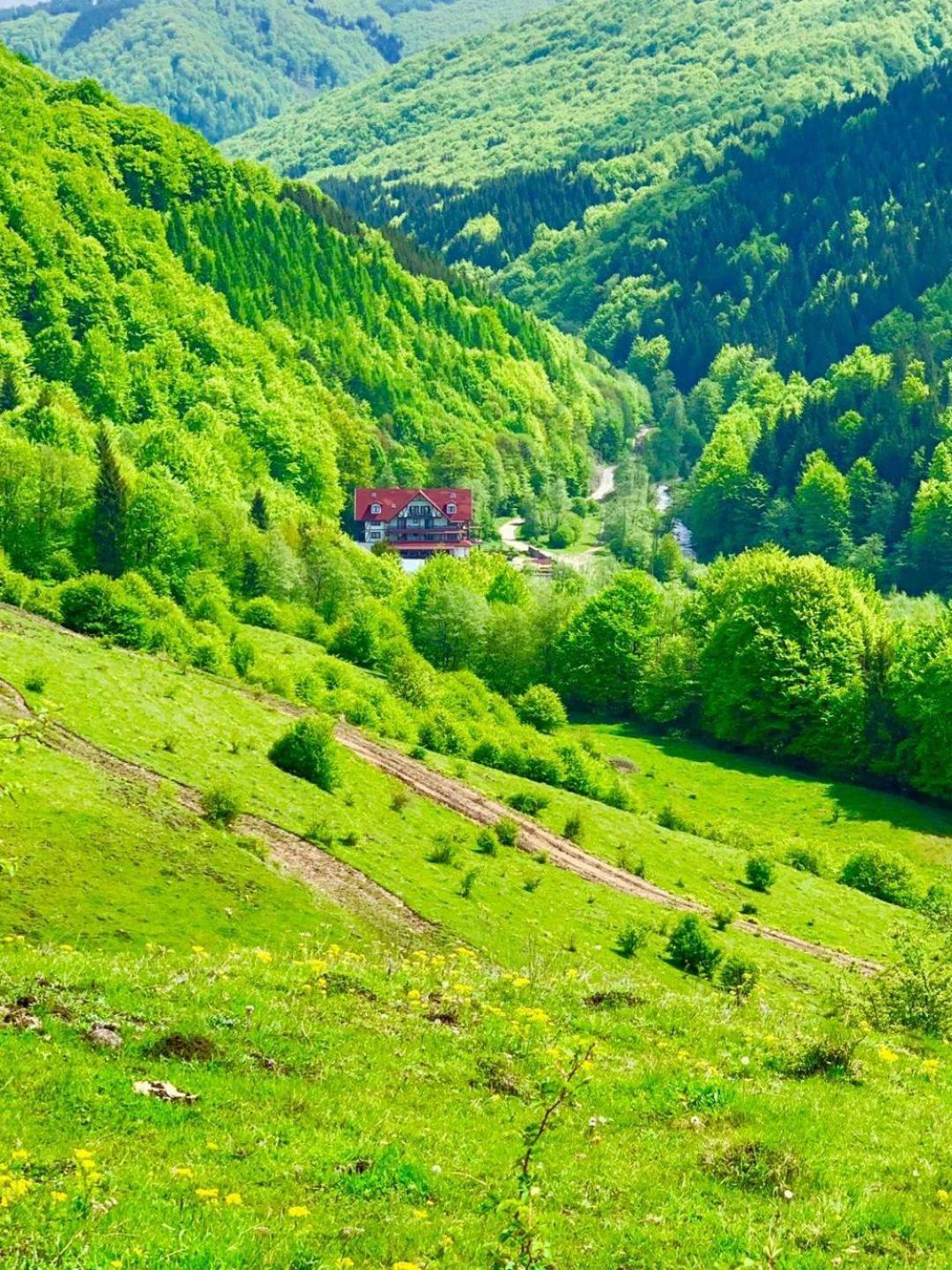 Cabana Izvoarele Doftanei Trăisteni Extérieur photo