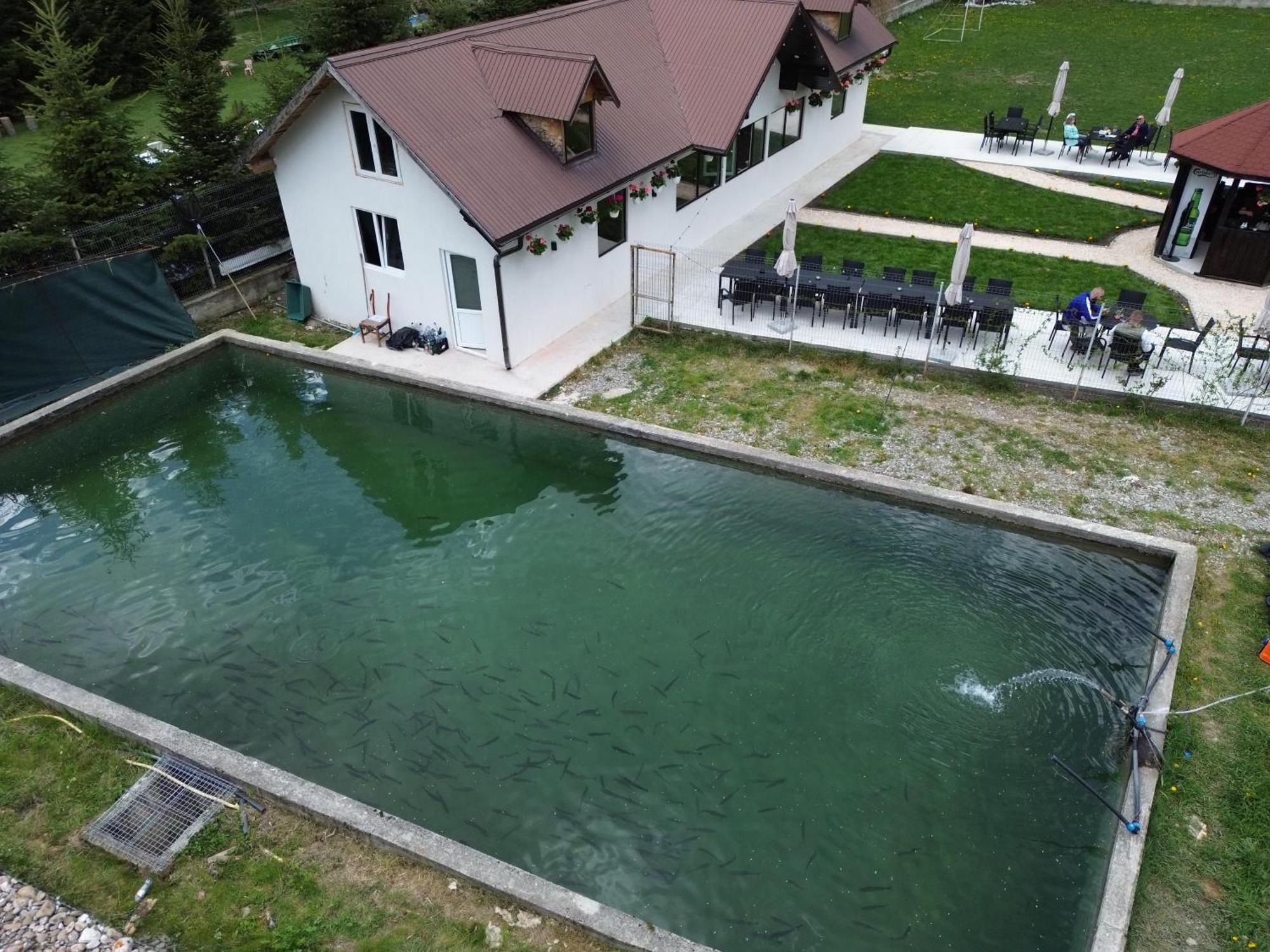 Cabana Izvoarele Doftanei Trăisteni Extérieur photo